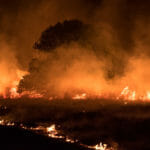 california-wildfires