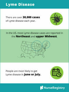 infographic on lyme disease statistics
