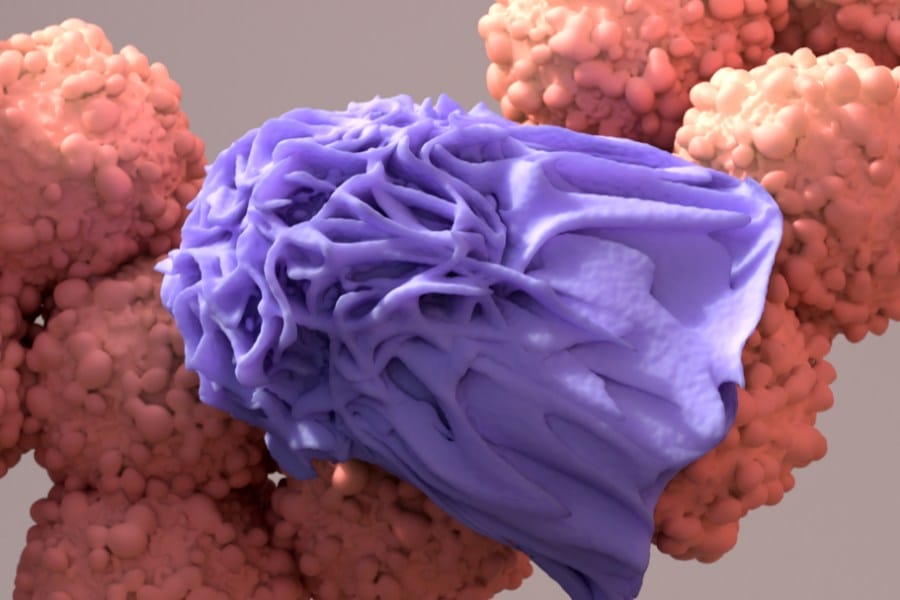immunotherapy and cancer cells