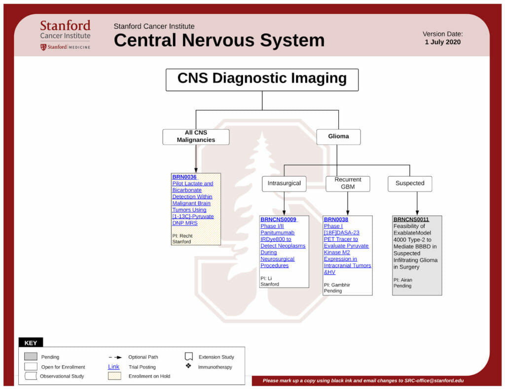 SCI Stanford Clinical trials eligibility flowchart sample