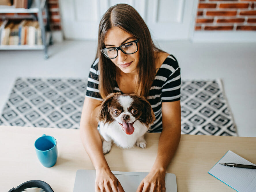 nurse filing taxes with her pup